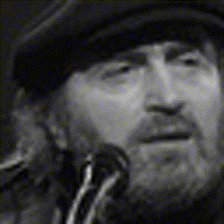 Ivan Heylen - De Wilde Boerendochter